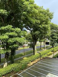 Westville (D22), Terrace #538542791